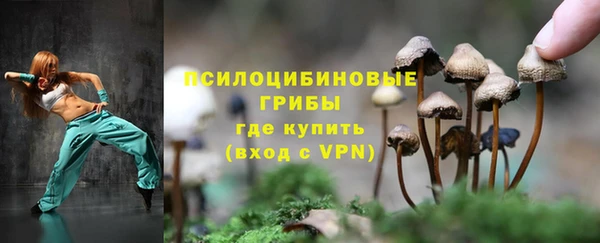 шишки Кинешма