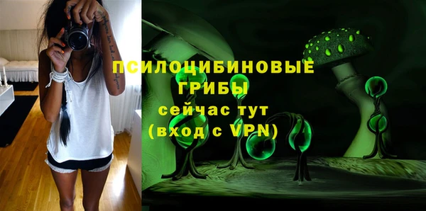 трава Киренск